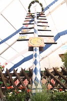 Bataillons-Maibaum im Bierzelt